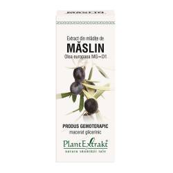 Extract mladite maslin x 50ml (PLX)