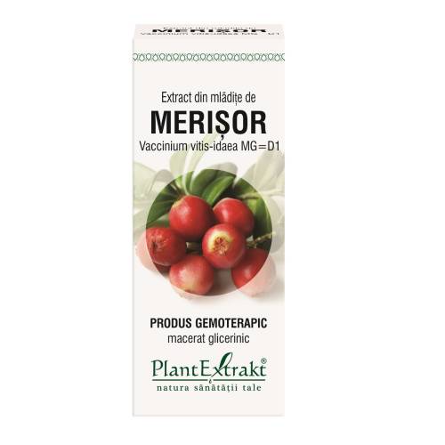 Extract mladite merisor x 50ml (PLX)