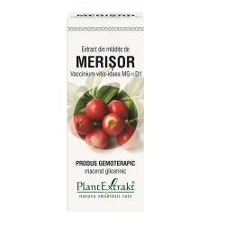 Extract mladite merisor x 50ml (PLX)