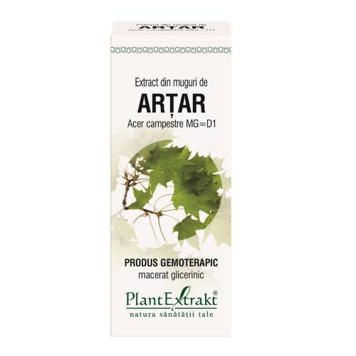 Extract muguri artar x 50ml (PLX)