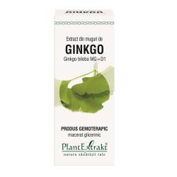 Extract muguri ginkgo x 50ml (PLX)