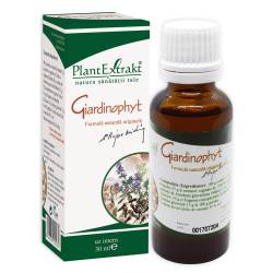 Fito Giardinophyt sol x 30ml PLX