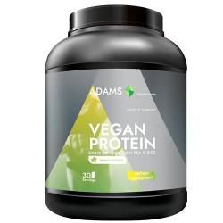 Vegan Protein aroma vanilie, 908 grame, Adams