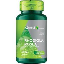 Rhodiola rosea, 30 capsule, Adams