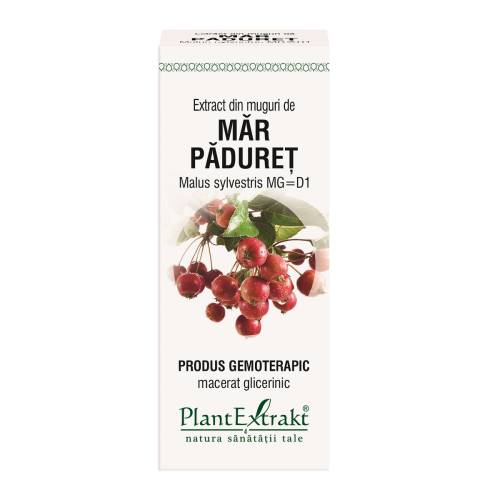 Extract din muguri de Mar Paduret, 50ml, PlantExtrakt
