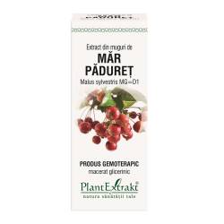 Extract din muguri de Mar Paduret, 50ml, PlantExtrakt