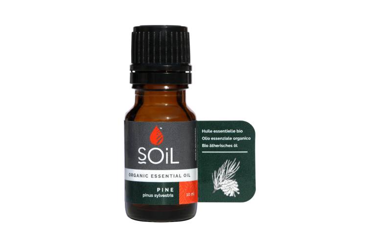 Ulei Esential Pin (Pinus sylvestris) 100% Organic Ecocert, 10ml, Soil