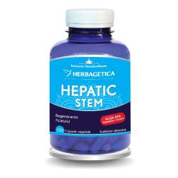 Hepatic+ Stem, 120 capsule, Herbagetica