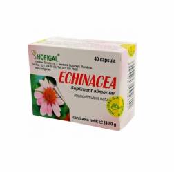 Echinacea 500mg 40 capsule Hofigal