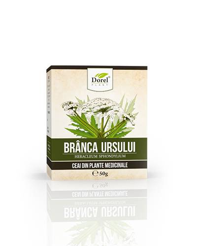 Ceai de Branca Ursului, 50g, Dorel Plant