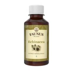 Tinctura de Echinacea, 200ml, Faunus Plant
