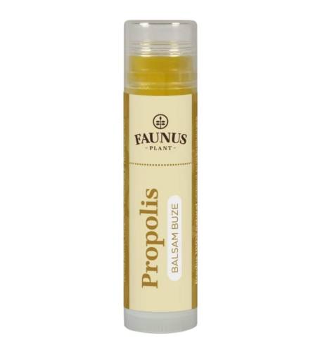 Balsam de buze Propolis, 5ml, Faunus Plant