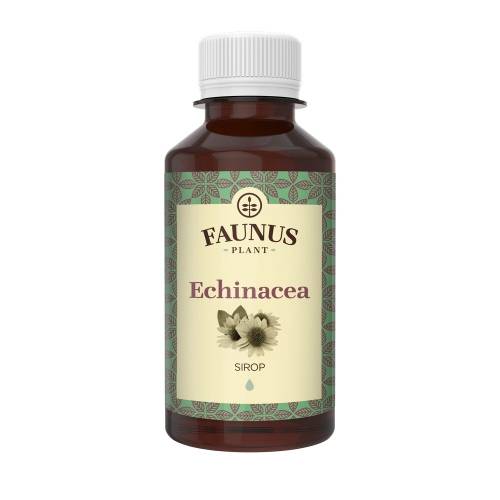 Sirop cu echinacea, 200ml, Faunus Plant