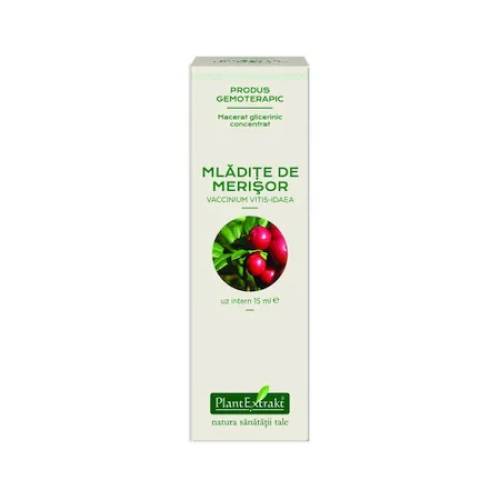 Extract concentrat din mladite de merisor, 15ml, PlantExtrakt