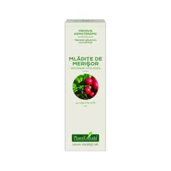 Extract concentrat din mladite de merisor, 15ml, PlantExtrakt