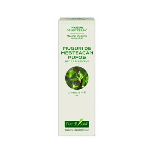 Extract concentrat din muguri de mesteacan pufos, 15ml, PlantExtrakt