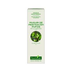 Extract concentrat din muguri de mesteacan pufos, 15ml, PlantExtrakt