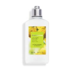 Lotiune de corp Barbotine, 250ml, L'Occitane