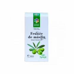 Tinctura de maslin, 50 ml, Steaua Divina