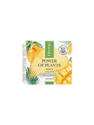 Unt demachiant Power of Pants Mango, 45g, Lirene