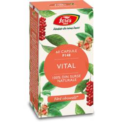 Vital, 60 capsule, Fares
